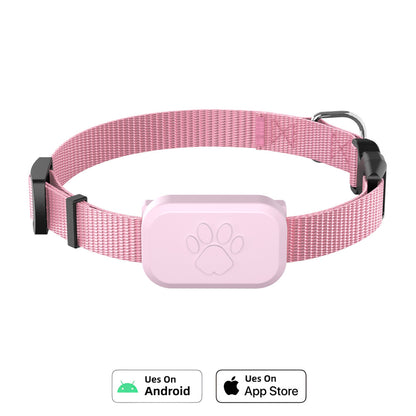 Cat and dog collar anti-loss device