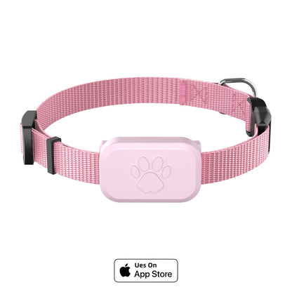 Cat and dog collar anti-loss device